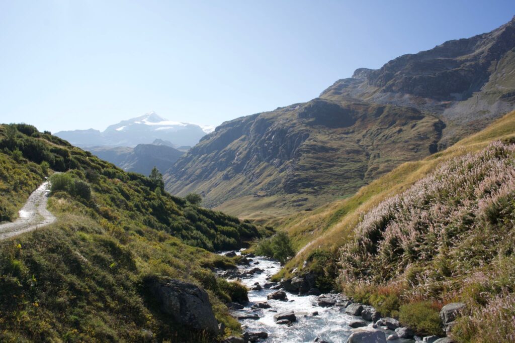 PHOTO 2023 09 25 17 44 21 1