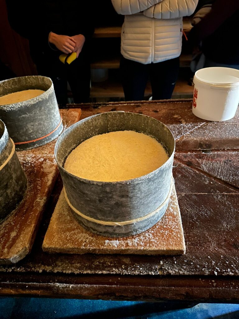 PHOTO 2023 09 25 17 45 23