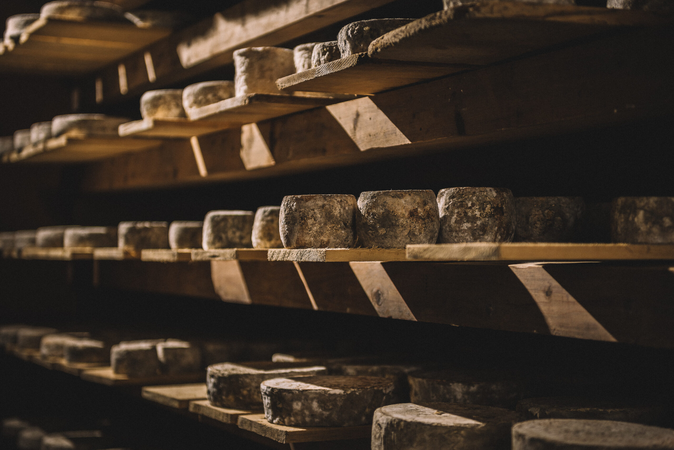 Fromages en cave