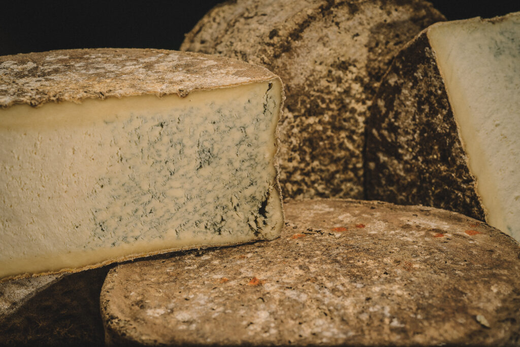 La magie du Bleu de Termignon : de l’alpage à nos caves